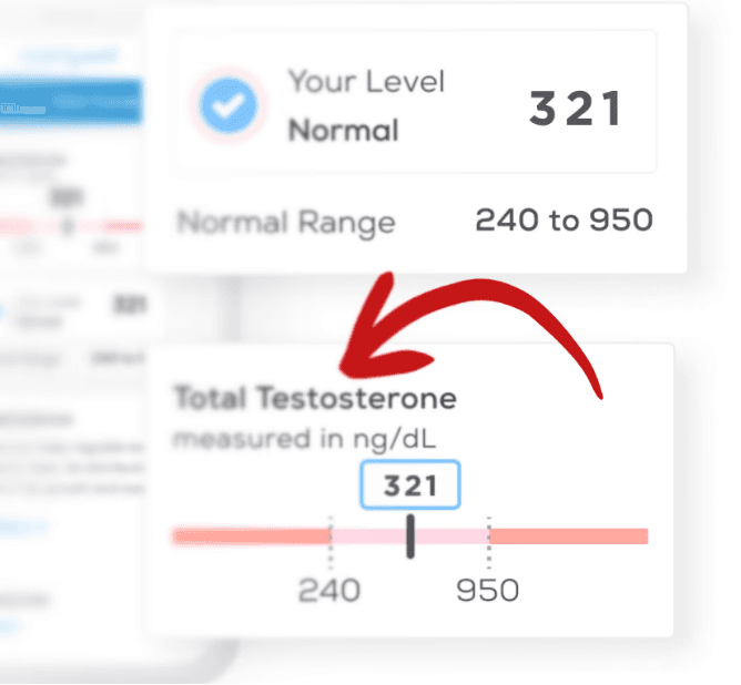 Ayaan K. transformation